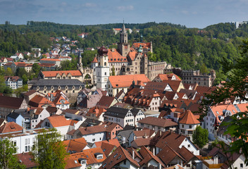 Fototapeta na wymiar Ausblick auf Hohenzollern-Schloß in Sigmaringen an der Doanu