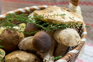 organic forest mushrooms and a sprig of heather lie in a basket