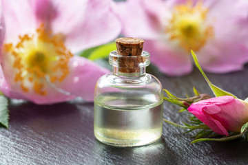 A bottle of essential oil with dog rose flowers