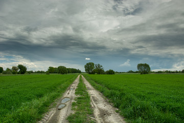 Fototapeta na wymiar Straight dirt road through green fields, trees and dark rainy clouds