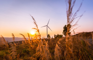 Wind turbine Electricity production by wind energy