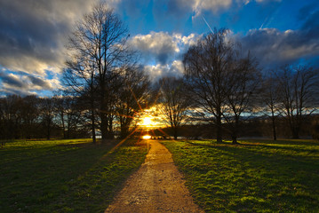Sonnenuntergang mit Bäumen im Waldpark 2