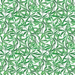 Watercolor hand-painted botany cannabis leaves and branches illustration seamless pattern on white background