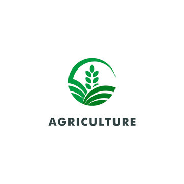 farm logo template, agriculture icon design - vector