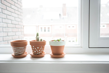 Room flowers on the windowsill. Cactuses in cozy pots on the windowsill.