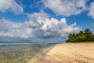 An early morning beach view on the Caribbean Island of Barbados