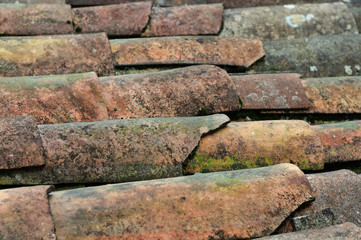 close up of roof tiles.jpg