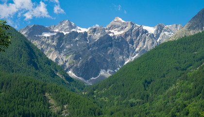 Fototapeta na wymiar AERIAL: Dense coniferous forest covers the valley under breathtaking French Alps