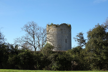 Ruine du donjon de Montreuil Bonnin