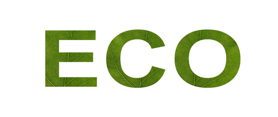 ECO word from green leaf isolated on white background. Concept: name, eco-friendly, text.