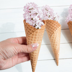Lilac in a waffle cone. Flowers and ice cream. Concept. Spring. White background. Greeting card for the holiday.