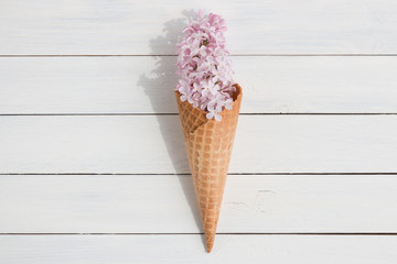 Lilac in a waffle cone. Flowers and ice cream. Concept. Spring. White background. Greeting card for the holiday.