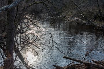 scenic river view landscape of forest rocky stream with trees on the shores