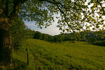Fototapeta na wymiar schöne Hügel Landschaft am Aschberg, Hüttener Berge