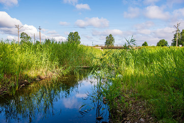 scenic river view landscape of forest rocky stream with trees on the shores