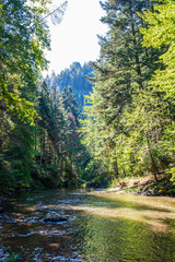 scenic river view landscape of forest rocky stream with trees on the shores