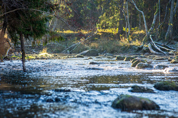 scenic river view landscape of forest rocky stream with trees on the shores