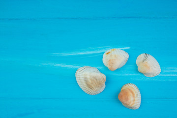 Sand, seashells, stones on blue background. Concept of rest. Top view.