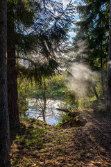 scenic river view landscape of forest rocky stream with trees on the shores