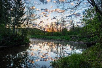 scenic river view landscape of forest rocky stream with trees on the shores