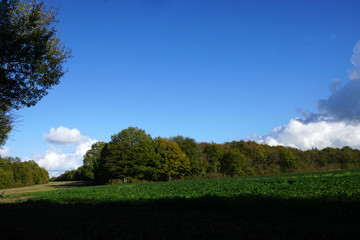 panorama de la Forêt Domaniale de Vouillé-Saint-Hilaire