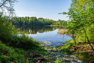 scenic river view landscape of forest rocky stream with trees on the shores