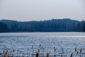 riverside shore in spring with scenic trees and green pastures