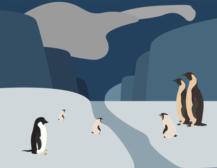 Colorful cartoon penguins. Parent and child. Vector IllustrationColorful cartoon penguins on the ice in Aktika. Parents and children. Vector Illustration