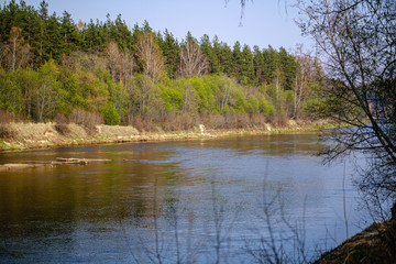 Fototapeta na wymiar riverside shore in spring with scenic trees and green pastures