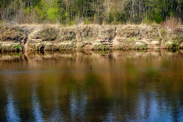 riverside shore in spring with scenic trees and green pastures