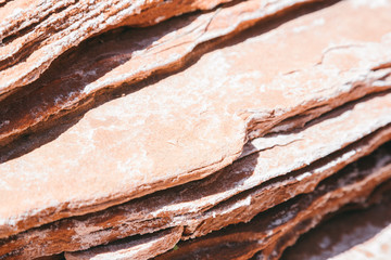 Sandstone texture found inside of Mule Canyon, the trail that leads to House on Fire, an Anasazi ruin. Taken in late-April during the afternoon.