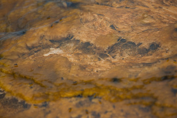 Bacteria, a geothermal feature in Midway Geyser Basin, Yellowstone National Park, Wyoming. Taken during mid-May in the afternoon.