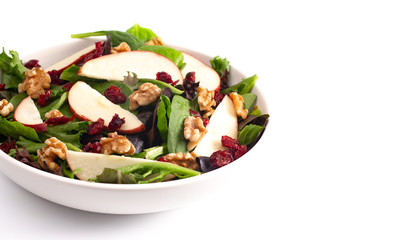 Cranberry Walnut and Apple Salad on a Bed of Mixed Greens
