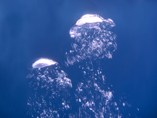 Luftblasen unter Wasser