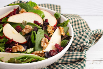 Cranberry Walnut and Apple Salad on a Bed of Mixed Greens