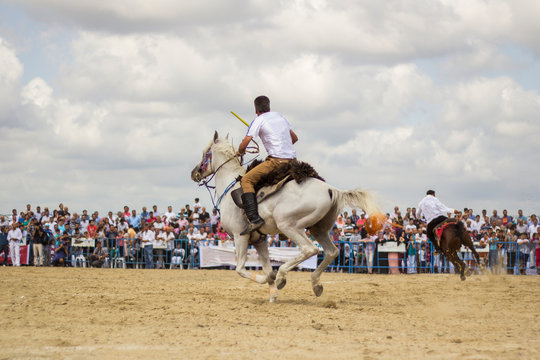 horse javelin competitions