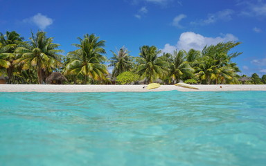 Fototapeta na wymiar Tropical sea shore with kayaks on the beach and coconut trees with huts, seen from water surface, atoll of Tikehau, Tuamotu, French Polynesia, Pacific ocean