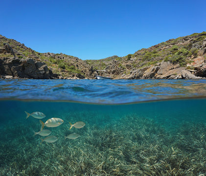 Spain Mediterranean boat in a rocky cove with fish and Posidonia sea grass underwater, Costa Brava, Catalonia, split view half over and under water