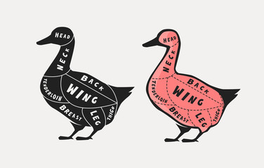 Diagram guide for cutting meat, butcher shop. Duck vector illustration