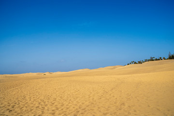 Fototapeta na wymiar views of the dunes of Gran Canarias, Maspalomas