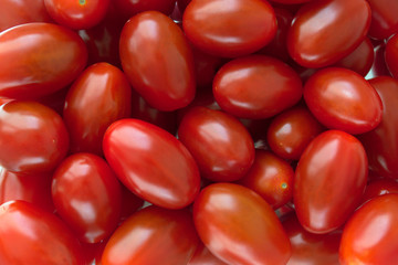 Shiny fresh red plum cherry tomatoes on the market. Close up. Macro.