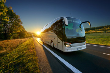 White bus traveling on the asphalt road around line of trees in rural landscape at sunset - Powered by Adobe