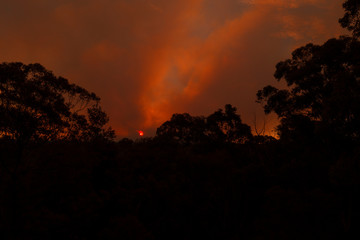 Smoke of a large bush fire in The Blue Mountains.