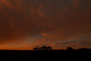 Smoke of a large bush fire in The Blue Mountains.