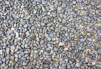 gray stone background and texture and leaves.