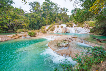 Natural pools of the emerald waterfalls at Roberto Barrios in Chiapas, Mexico