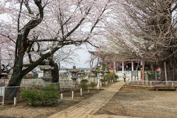 chiba Temple