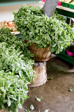 vegetables market in Montreal