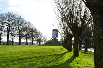 Fotobehang Brugge Windmill in Brugge  © Norzaini