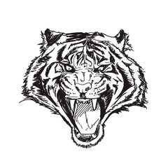 tiger line art vector illustration